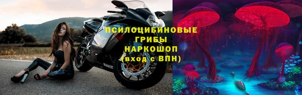 спиды Михайлов