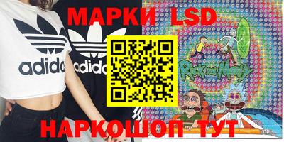 ПСИЛОЦИБИНОВЫЕ ГРИБЫ Гусь-Хрустальный