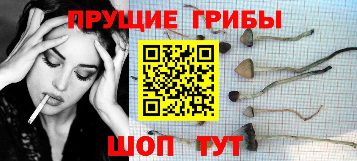 Галлюциногенные грибы Cubensis  Галлюциногенные грибы MAGIC MUSHROOMS  Курчалой  Вход с VPN 
