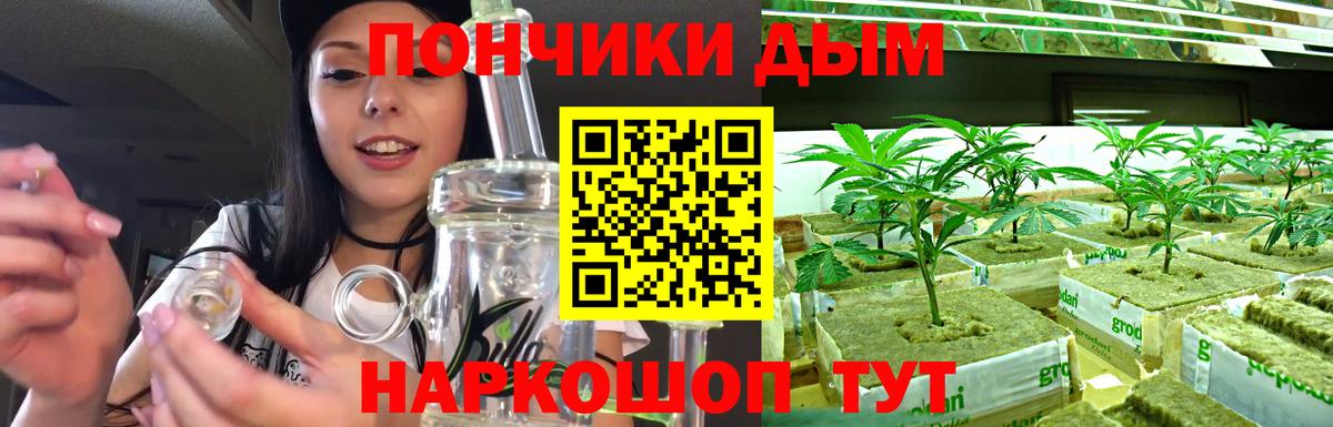 Конопля гибрид Курчалой